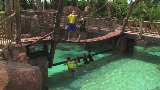 The Grand Reef at Discovery Cove offers snorkeling and helmet dive among sharks and rays [upl. by Leach]