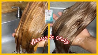 From Brassy to Ash Blonde  Which Wella Toner should I use Aquadiva [upl. by Eenoj]