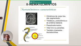 2º Série Médio  BIOLOGIA  PLATELMINTOS E NEMATELMINTOS [upl. by Inama]