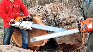 Stihl MS 881 amp Husqvarna 3120xp [upl. by Enelrad]