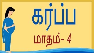 Pregnancy  Tamil  Month 4  கர்ப்பம் மாதம் 4 [upl. by Schapira771]