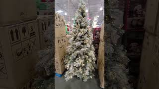 watch  Christmas Trees at Costco Video  For a YouTube Holiday  Fun Entertainment [upl. by Karleen]