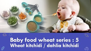 Baby food wheat series 5  Wheat kitchidi  dahlia kitchidi [upl. by Llenrrad]