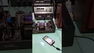 test power amplifier HAFLER DH220 [upl. by Artap554]