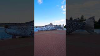 Steel Salmon Statue Called Kojamo In Tornio Finland tornio lapland fish statue [upl. by Arick]