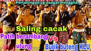 Patih berambang ulung lobar VS borik buteng KLU [upl. by Leffen]