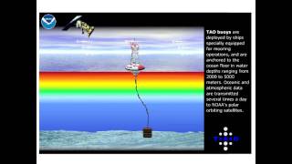 TAO EL Nino Observing System [upl. by Honorine113]