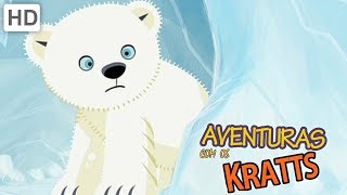 Aventuras com os Kratts  Vamos Explorar Criaturas Raras [upl. by Sidnal]