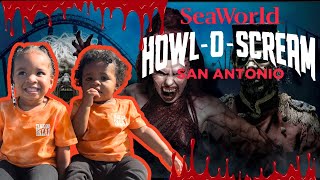 HowlOScream 2024 SeaWorld San Antonio  Full Experience  Must Watch [upl. by Gothart]