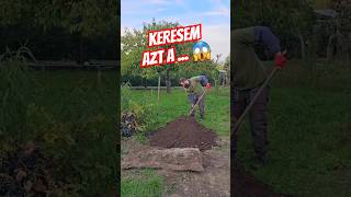 Taggeld be a videóst aki fát ültetne faültetés treeplanting [upl. by Fregger]