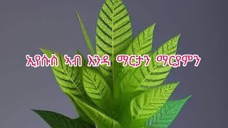 ኢየሱስ ኣብ እንዳ ማርታን ማርያምን [upl. by Henka]