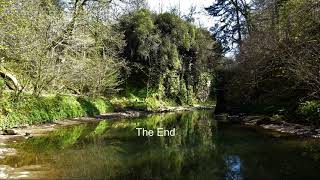 The Mauchline Gorge amp the River Ayr from Howford Bridge to Ballochmyle Viaduct [upl. by Ttegdirb493]