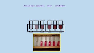 AQA A LEVEL BIOLOGY  REQUIRED PRACTICAL 4 INVESTIGANTING MEMBRANE PERMEABILITY [upl. by Skipton]