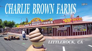 Charlie Browns Farms Littlerock CA [upl. by Yrogiarc558]