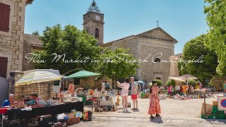 Shopping at the flea market in the beautiful french countryside  Antique hunting  France Vlog [upl. by Dreda294]