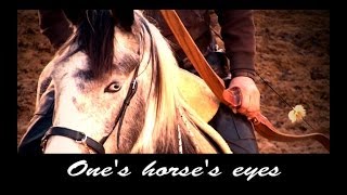 Ones Horses eyes [upl. by Roxanna619]