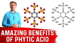 The Amazing Benefits of Phytic Acid – Dr Berg [upl. by Dennis]