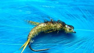 Tying a Golden Stonefly Nymph with Davie McPhail [upl. by Farant]