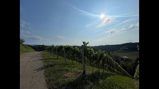 Einzigartige Landwirtschaft amp Weingärten in Alleinlage  Leutschach an der Weinstraße [upl. by Uttica]