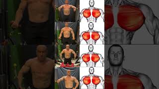 quotTop Chest Workout Variations for a Bigger Chest in Minutes 💥quot [upl. by Daahsar]