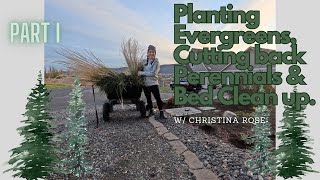 Transforming My Garden Planting Evergreens amp Fall Cleanup 🌲🍂  PART I [upl. by Assirek]