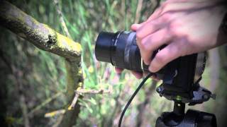 Macrofotografía Los Tubos de Extensión [upl. by Maffei245]