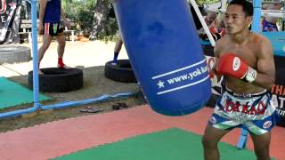 Saenchai heavy bag training at Muay Thai Combat Camp by Yokkao  Twitter yokkaoboxing [upl. by Sharleen284]