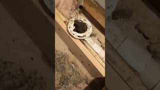 structural floor joist repair from plumber [upl. by Dieball]