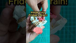 The Hidden Gearbox in Your Fridge EXPOSED [upl. by Ahsyekat430]