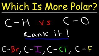 Which Bond Is More Polar [upl. by Irtimed]