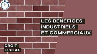 Les Bénéfices Industriels et Commerciaux  Droit Fiscal [upl. by Gaulin685]