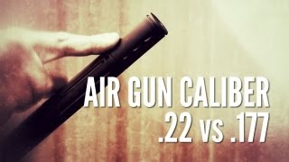 Which pellet should I choose 22 versus 177  Gamo Air Guns [upl. by Alissa]