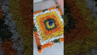 Galicha Rangoli🪔 [upl. by Eatnoid]