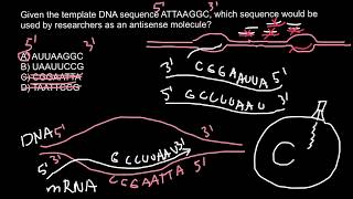 How Antisense Technology Works [upl. by Klos]