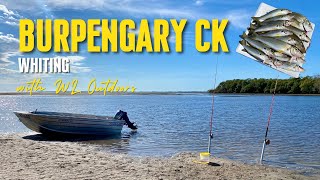 Fishing for Whiting in Burpengary Creek [upl. by Adeline]