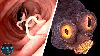 Top 10 Grossest Parasites And What They Do To Your Body [upl. by Dekow]