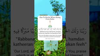 Dua To Recite When Rising From Ruku [upl. by Anema]