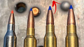 243 vs 65 vs 7mm08 vs 308 Not Even Close [upl. by Bala]