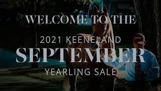 Keeneland September Sale [upl. by Davena]