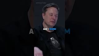 Elon Musks Response To a Stupid Question [upl. by Westbrooke626]