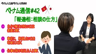 【ベトナム通信42】「報・連・相：相談の仕方」quotHOURENSOU của Nhật Cách thức Thảo luậnquot [upl. by Tirrej]