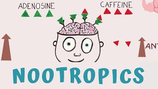 HOW TO BOOST BRAIN POWER  NOOTROPICS SUPPLEMENTS [upl. by Rustin]