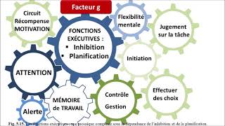 Neuropsychologie et troubles des apprentissages chez lenfant [upl. by Letreece]