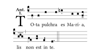 Tota Pulchra es Maria Antiphon  Gregorian Chant [upl. by Atoked190]