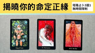 ✨西卡塔羅 ✨命定正緣即將登場！「他是我等待已久的那個人嗎？」愛情大門已開啟，別錯過！ 💖🔮 感情發展預測／正緣類型／你們共譜的戀愛劇本 [upl. by Onairotciv922]