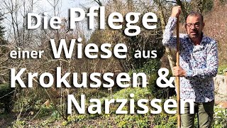 BLÜTENMEER Was du bei der Pflege der BLUMENWIESE jetzt NICHT machen sollst [upl. by Gerladina]