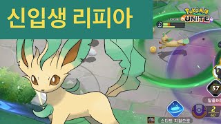 포켓몬 유나이트 리피아★리피아 간단 리뷰 5번째 이브이는 어떨까 A brief Review of Leafeon in Aeos island pokemon unite [upl. by Caplan]