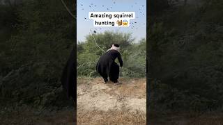 Amazing squirrel hunting 🐿️😱 entertainment birds birdhunting shorts viralshorts [upl. by Mommy]