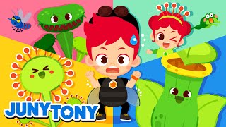 Why Do They Eat Bugs  More Bug Songs  Insect Songs for Kids  Animal Song  JunyTony [upl. by Palmer]