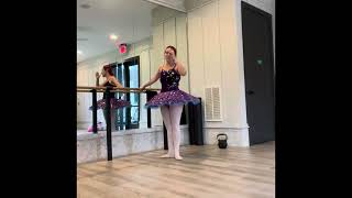 Taylor Swift Ballet Barre Plies [upl. by Pierette]